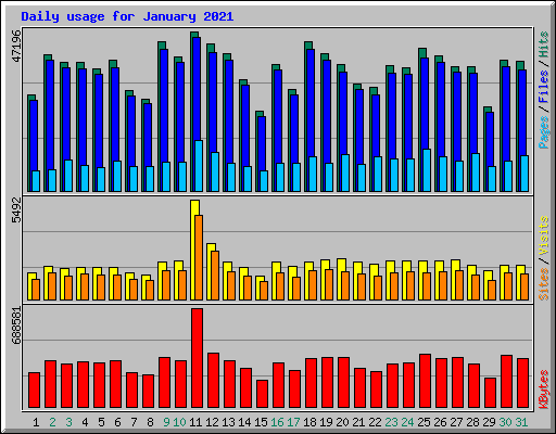 Daily usage for January 2021