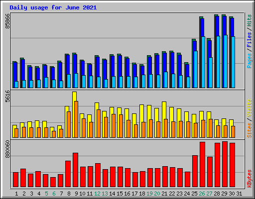 Daily usage for June 2021