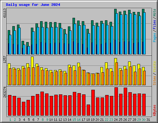 Daily usage for June 2024