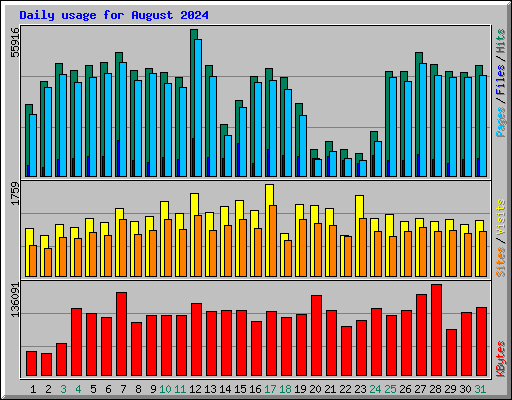 Daily usage for August 2024