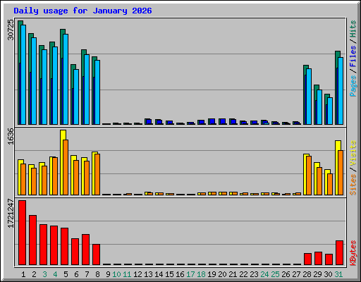Daily usage for January 2026