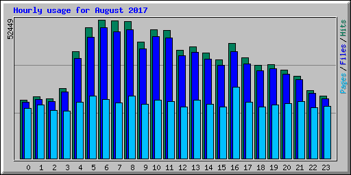 Hourly usage for August 2017