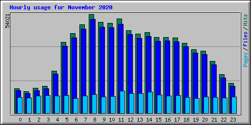 Hourly usage for November 2020