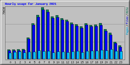 Hourly usage for January 2021