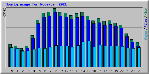 Hourly usage for November 2021