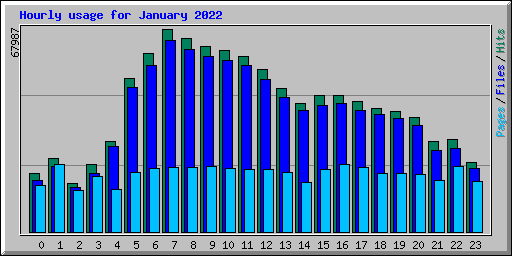 Hourly usage for January 2022