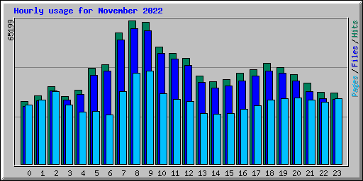 Hourly usage for November 2022