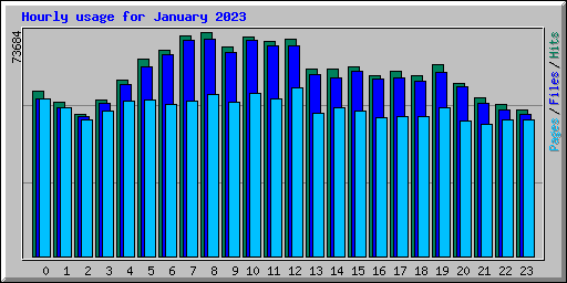 Hourly usage for January 2023