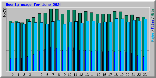 Hourly usage for June 2024