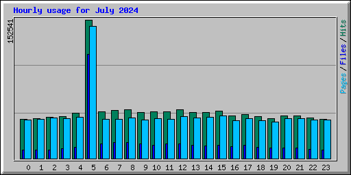 Hourly usage for July 2024