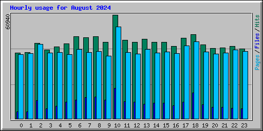 Hourly usage for August 2024