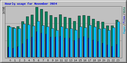 Hourly usage for November 2024