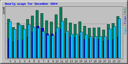 Hourly usage for December 2024