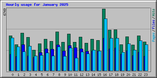 Hourly usage for January 2025