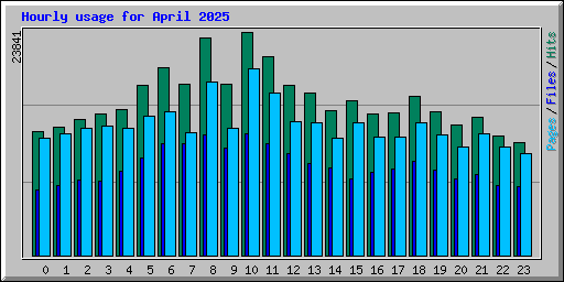 Hourly usage for April 2025