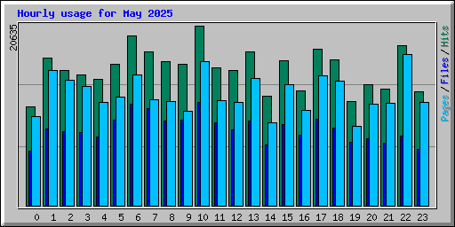 Hourly usage for May 2025
