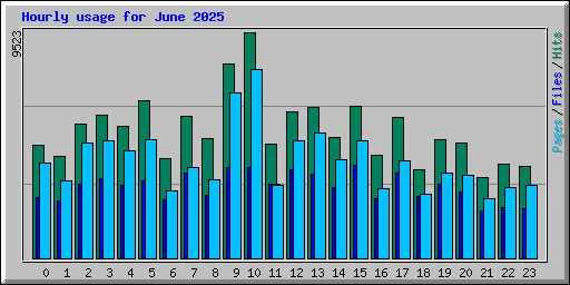 Hourly usage for June 2025