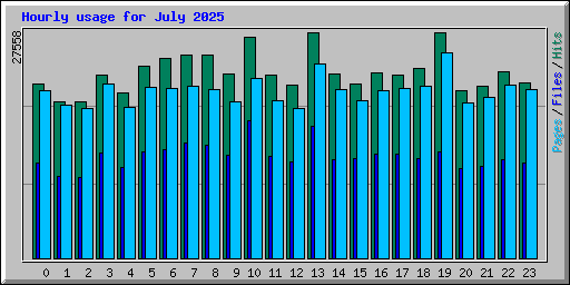 Hourly usage for July 2025