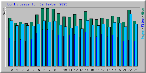 Hourly usage for September 2025
