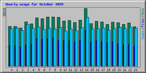 Hourly usage for October 2025