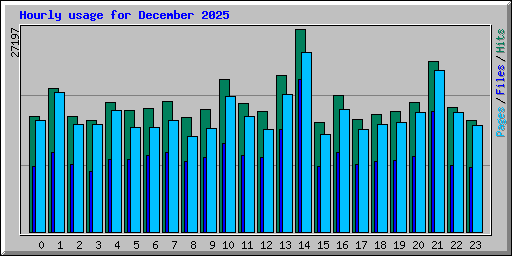 Hourly usage for December 2025
