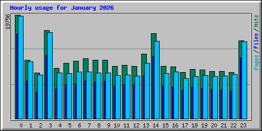 Hourly usage for January 2026