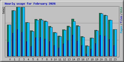 Hourly usage for February 2026