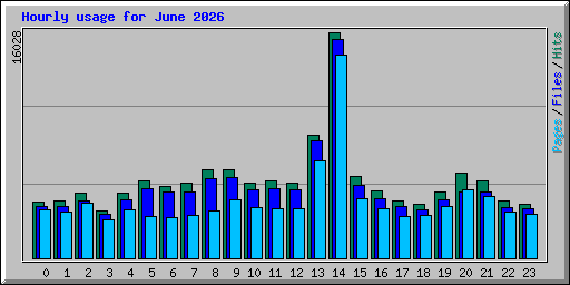 Hourly usage for June 2026