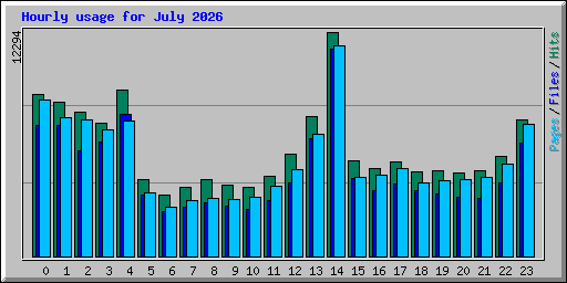 Hourly usage for July 2026