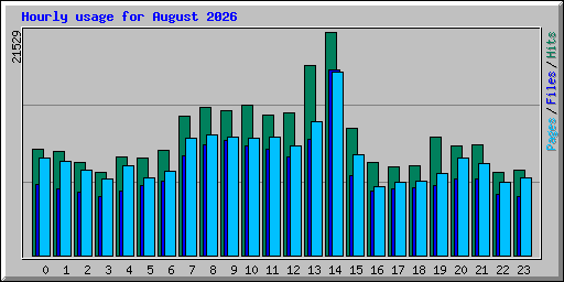 Hourly usage for August 2026